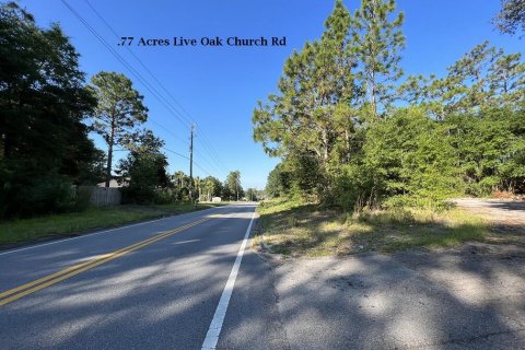 Land in Crestview, Florida № 558444 - photo 1