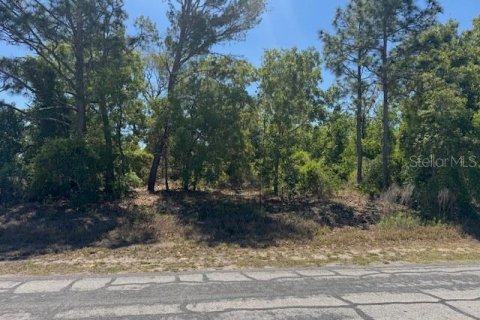 Terreno en venta en Spring Hill, Florida № 2114985 - foto 7