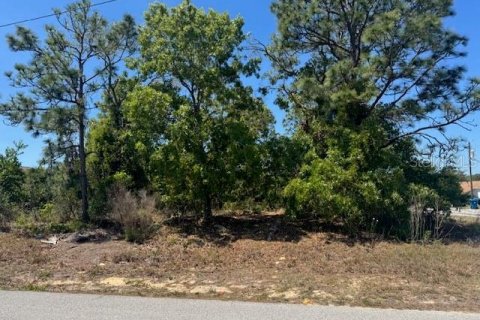 Terrain à Spring Hill, Floride № 2114985