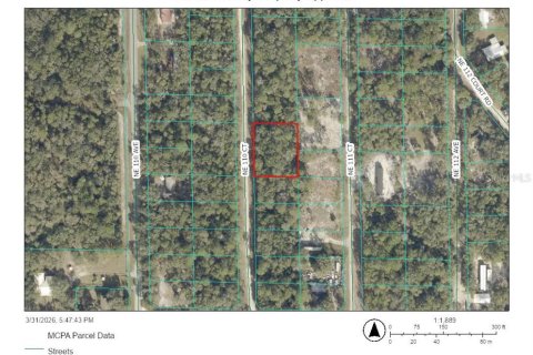 Land in Fort MC Coy, Florida № 2165597 - photo 2