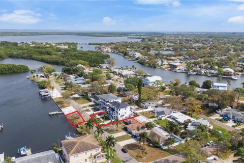 Casa en venta en Saint Petersburg, Florida, 4 dormitorios, 341.23 m2 № 2204278 - foto 7