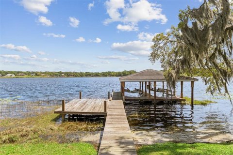 Villa ou maison à vendre à Windermere, Floride: 5 chambres, 664.53 m2 № 2353229 - photo 7