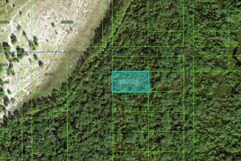 Terrain à Polk City, Floride № 2162223