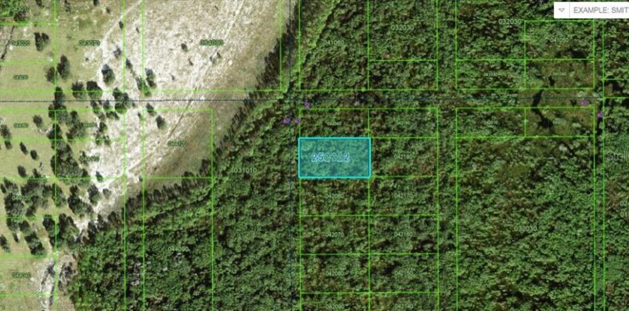 Terrain à Polk City, Floride № 2162223