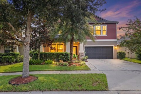 House in Riverview, Florida 5 bedrooms, 348.48 sq.m. № 2314206