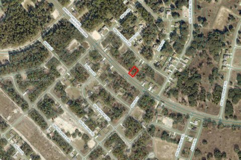 Terrain à vendre à Ocala, Floride № 2059685 - photo 2