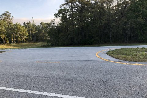 Terrain à vendre à Ocala, Floride № 2059685 - photo 4