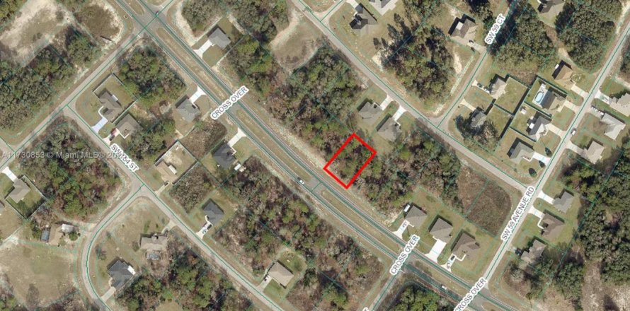 Terrain à Ocala, Floride № 2059685