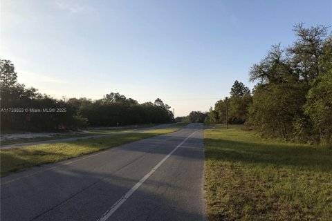 Terrain à vendre à Ocala, Floride № 2059685 - photo 5