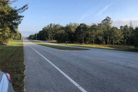 Terrain à vendre à Ocala, Floride № 2059685 - photo 7