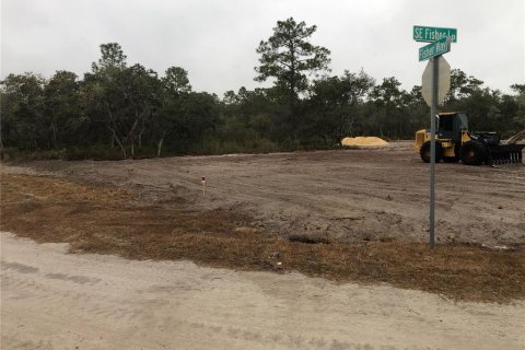 Land in Ocklawaha, Florida № 2134826