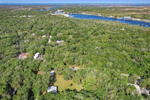 Commercial property in Homosassa, Florida 274.34 sq.m. № 2142833