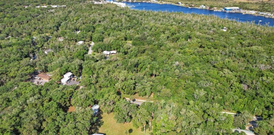 Commercial property in Homosassa, Florida 274.34 sq.m. № 2142833