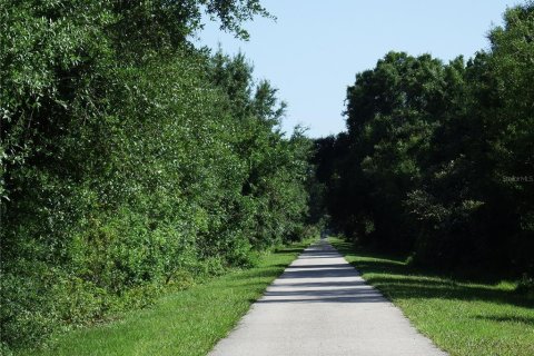Land in Rotonda, Florida № 1855489 - photo 15