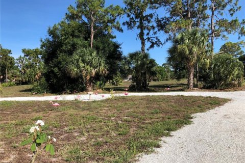 Land in Rotonda, Florida № 1855489 - photo 30