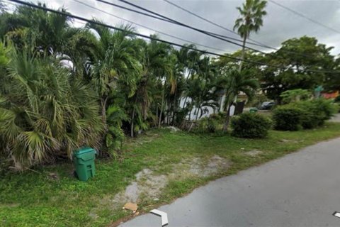 Land in Miami, Florida № 1977006 - photo 4