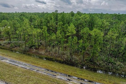 Land in Indian lake estates, Florida № 2164165 - photo 11