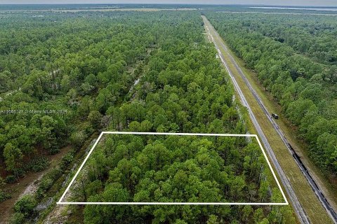Land in Indian lake estates, Florida № 2164165