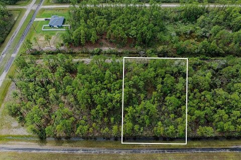 Land in Indian lake estates, Florida № 2164165 - photo 6