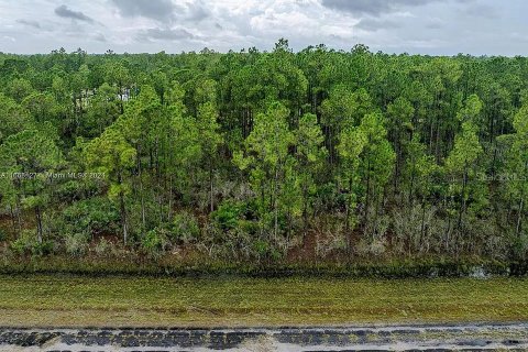Land in Indian lake estates, Florida № 2164165 - photo 3