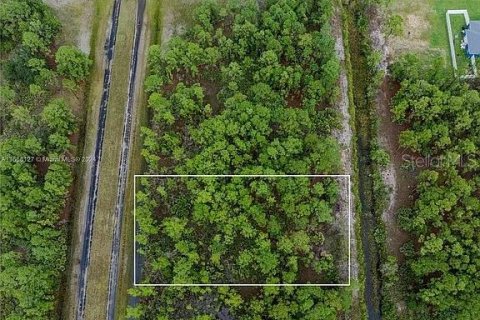 Land in Indian lake estates, Florida № 2164165 - photo 5