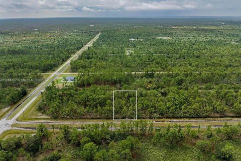 Land in Indian lake estates, Florida № 2164165 - photo 13