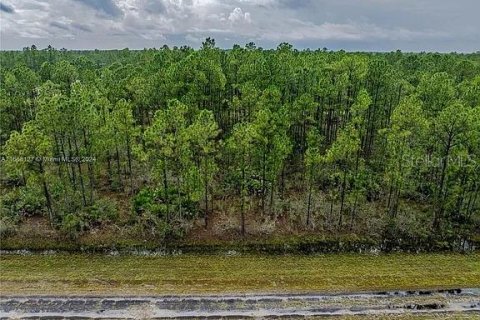 Land in Indian lake estates, Florida № 2164165 - photo 10