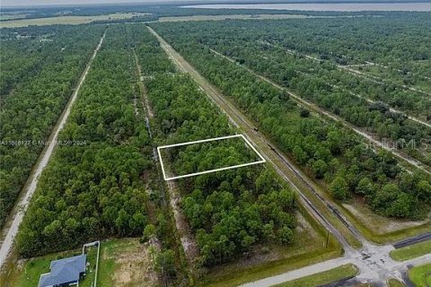 Land in Indian lake estates, Florida № 2164165 - photo 2