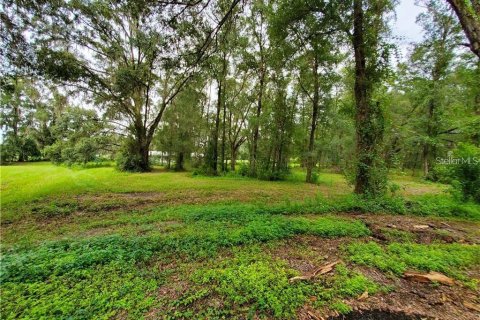 Terrain à vendre à Dade City, Floride № 2215564 - photo 5