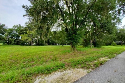 Terrain à vendre à Dade City, Floride № 2215564 - photo 4