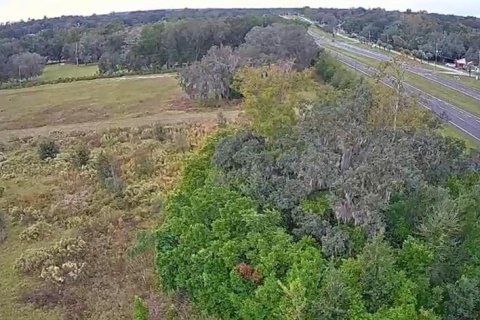 Land in Brooksville, Florida № 2130846 - photo 9