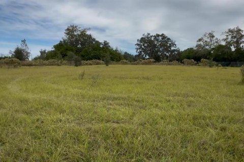 Terrain à Brooksville, Floride № 2130846