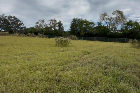 Land in Brooksville, Florida № 2130846 - photo 4