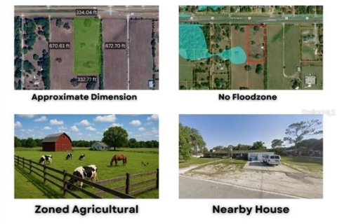 Land in Brooksville, Florida № 2130846 - photo 3