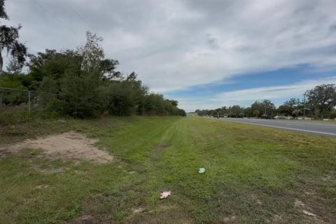 Land in Brooksville, Florida № 2130846 - photo 20
