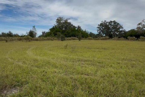 Land in Brooksville, Florida № 2130846 - photo 11