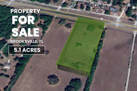 Land in Brooksville, Florida № 2130846 - photo 24