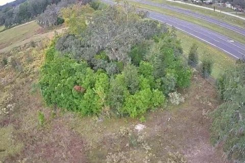 Land in Brooksville, Florida № 2130846 - photo 15