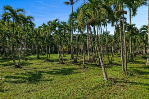 Propiedad comercial en venta en Miami, Florida № 2052321 - foto 2