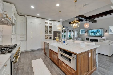House in Fish Hawk, Florida 4 bedrooms, 283.63 sq.m. № 1841615 - photo 19