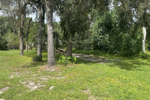Terrain à vendre à Webster, Floride № 2162734 - photo 2