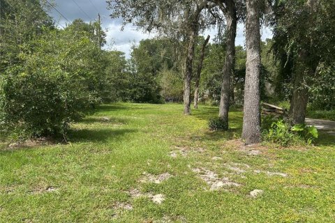 Land in Webster, Florida № 2162734