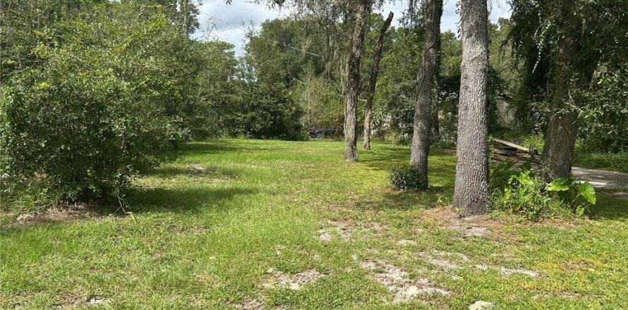 Terrain à Webster, Floride № 2162734