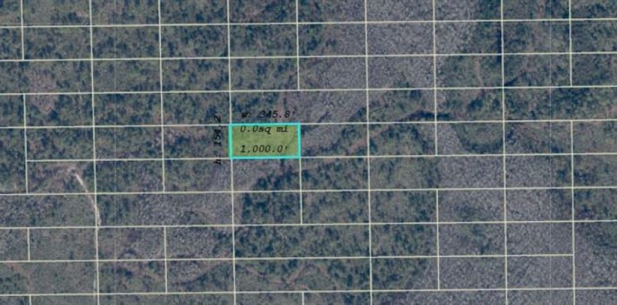 Terrain à Orlando, Floride № 2233933