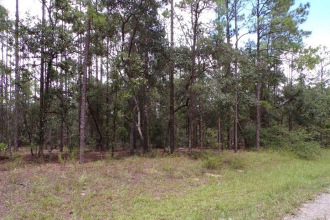 Terrain à vendre à Dunnellon, Floride № 2235173 - photo 2