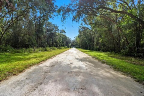 Land in Brooksville, Florida № 2108234 - photo 2