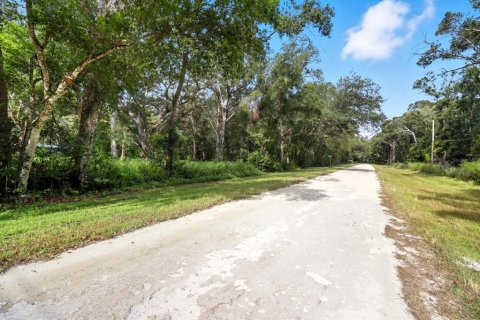 Land in Brooksville, Florida № 2108234 - photo 4