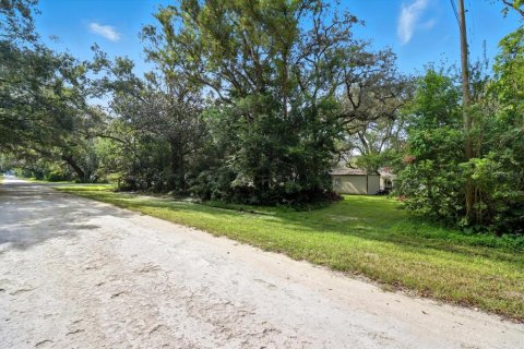Land in Brooksville, Florida № 2108234 - photo 3