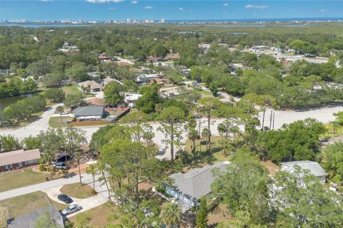 Villa ou maison à vendre à Port Orange, Floride: 3 chambres, 194.07 m2 № 1760475 - photo 29
