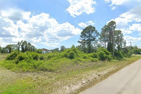 Land in Fort Myers, Florida № 2165309 - photo 2